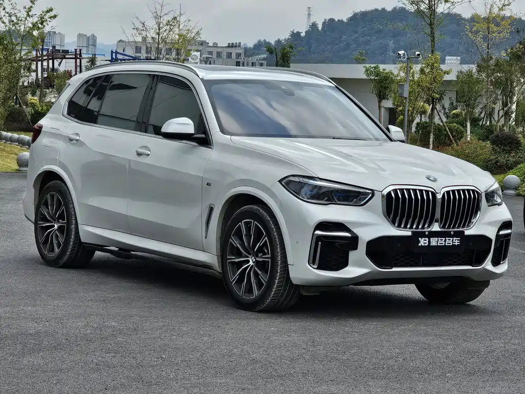 BMW X5 — миниатюра 15