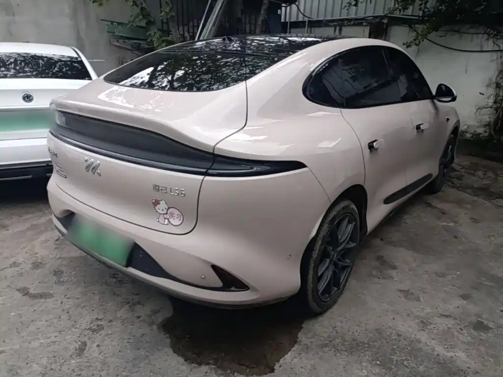 IM IM LS6 — миниатюра 7