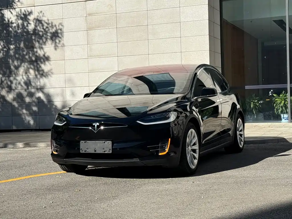 Tesla Model X — миниатюра 2