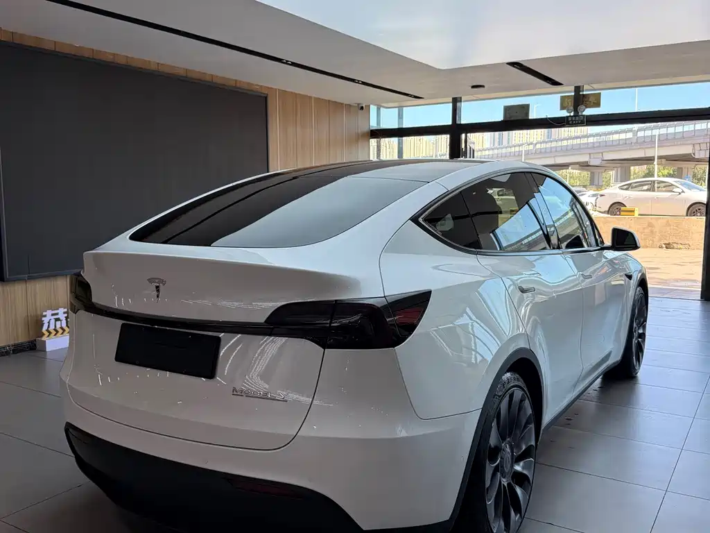 Tesla Model Y — миниатюра 6