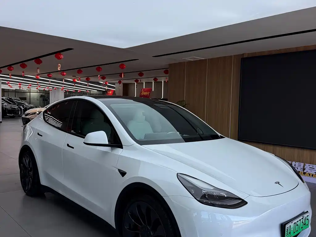 Tesla Model Y — миниатюра 2