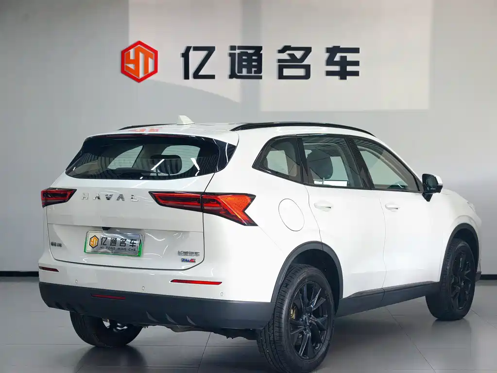 Haval H6 New Energy — миниатюра 18