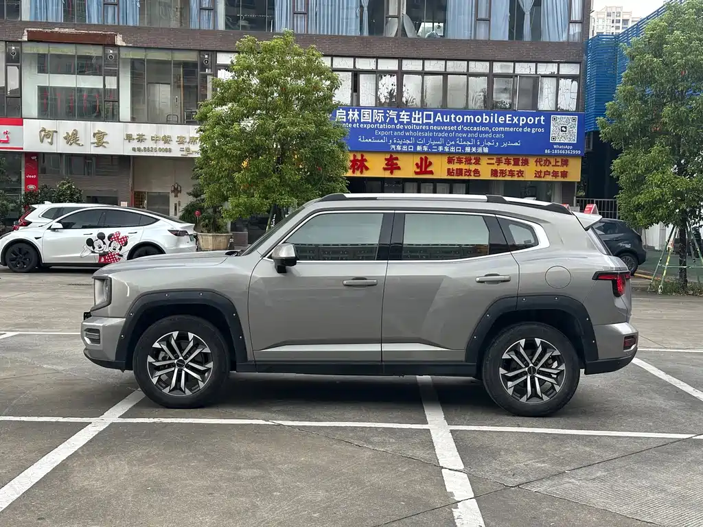 Haval Big Dog PLUS — миниатюра 7
