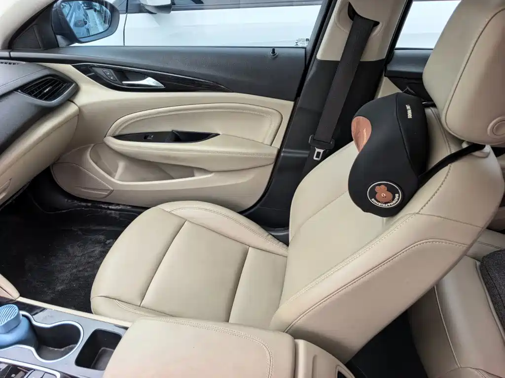Buick Regal — миниатюра 12