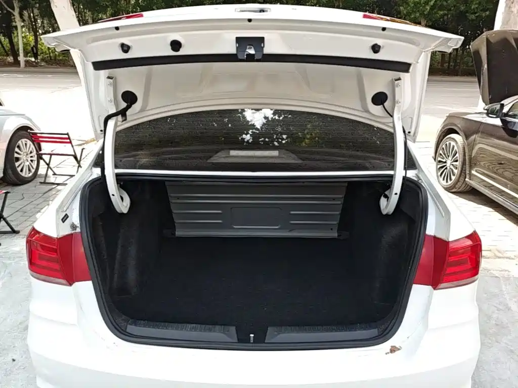 Volkswagen Santana — миниатюра 19