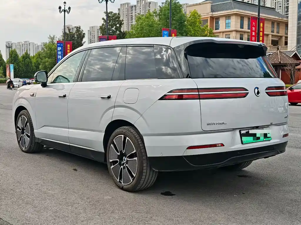 Denza Denza N8L — миниатюра 4