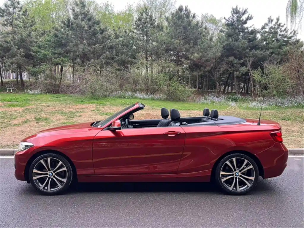 BMW 2 Series 2 2019 225i Sport