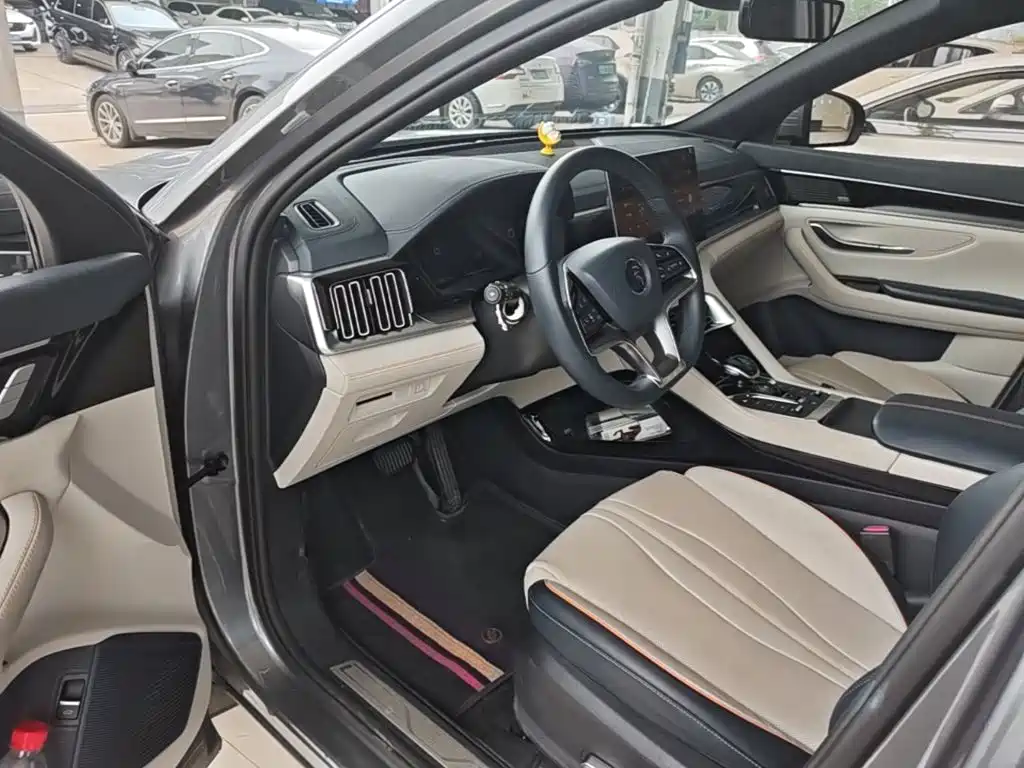 BYD PLUS New Energy — миниатюра 16