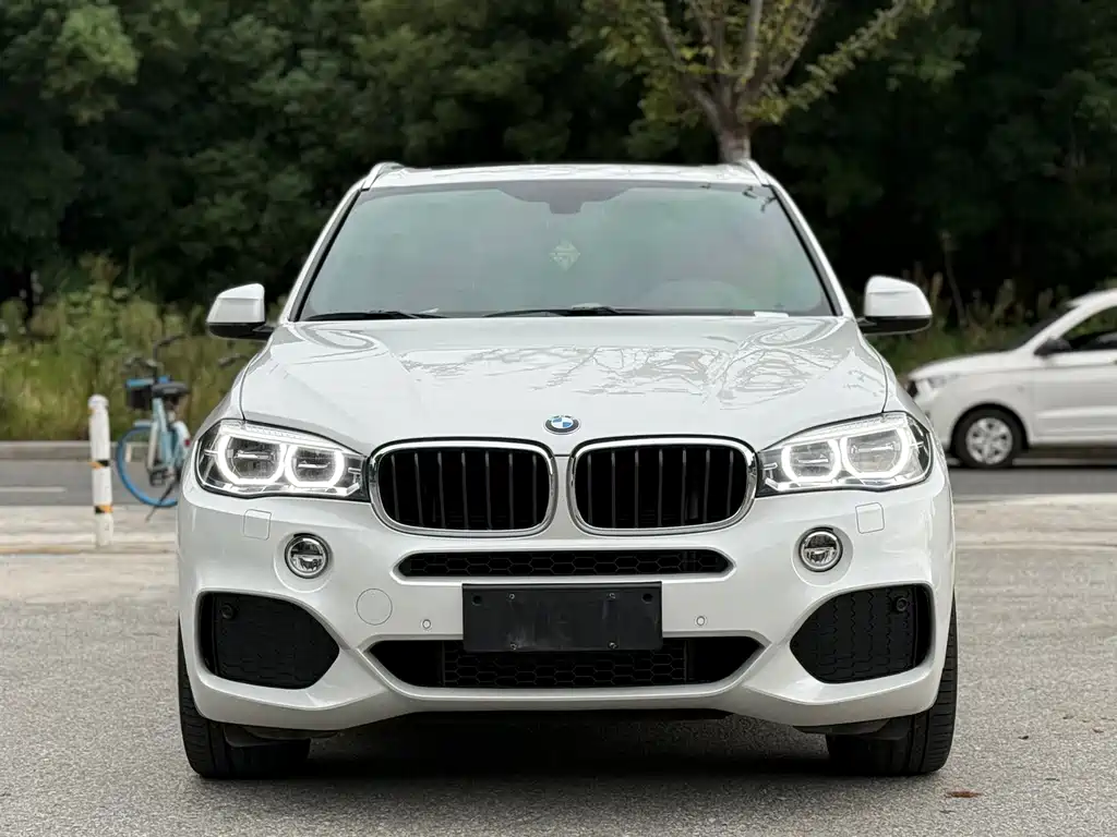 BMW X5 (Import) — миниатюра 2