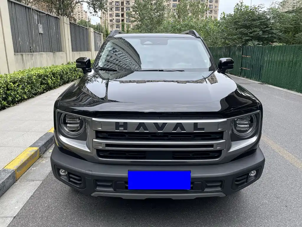 Haval 长城大狗 — миниатюра 2
