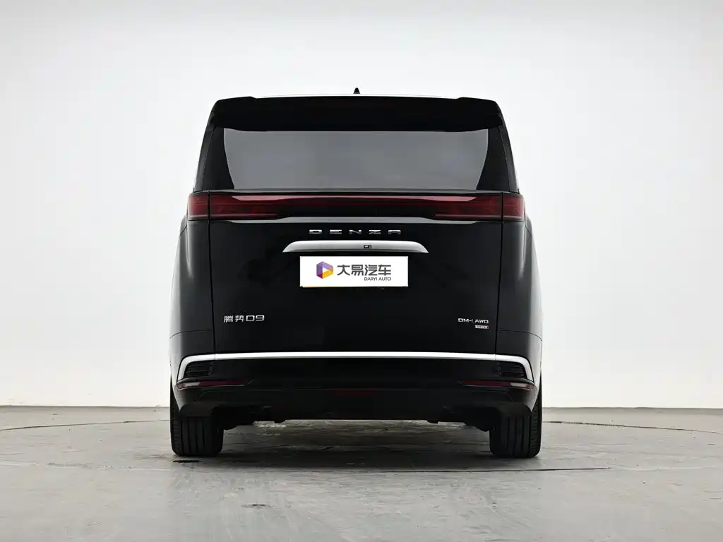 Denza Denza D9 — миниатюра 4