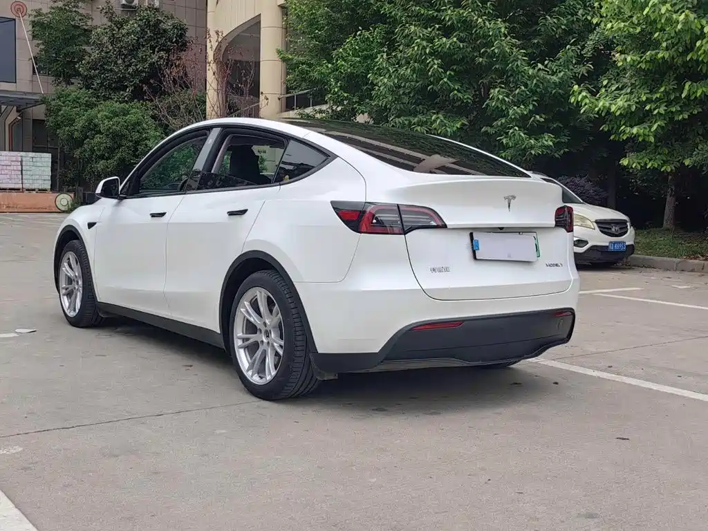 Tesla Model Y — миниатюра 15