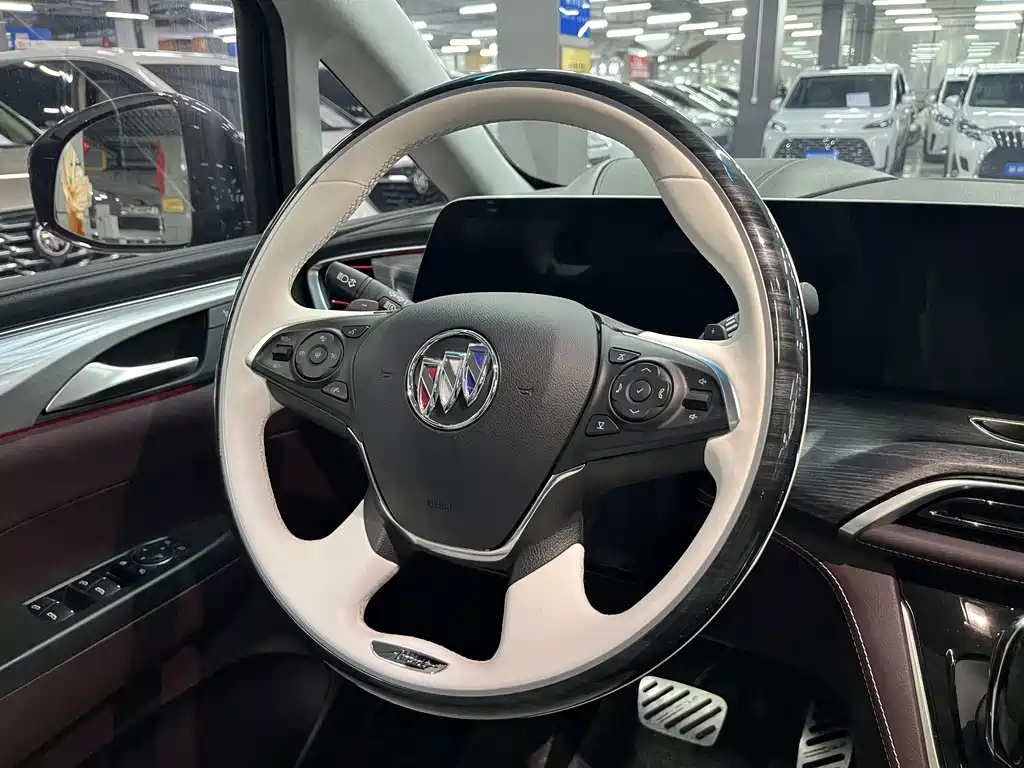 Buick GL8 — миниатюра 13