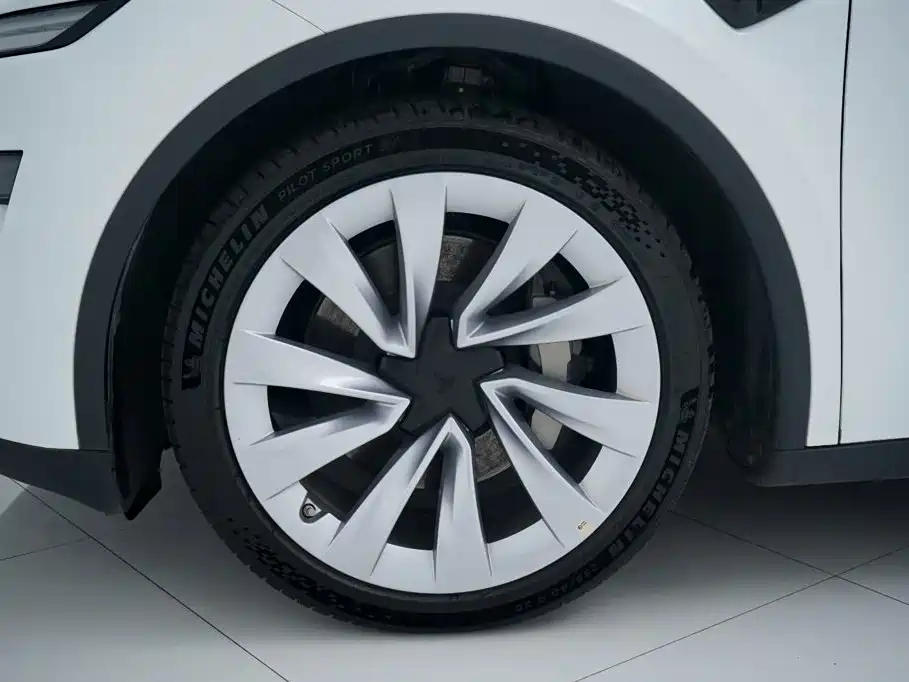 Tesla Model Y — миниатюра 22