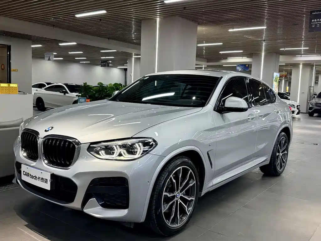 BMW X4 — миниатюра 5