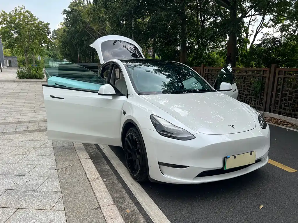 Tesla Model Y — миниатюра 26
