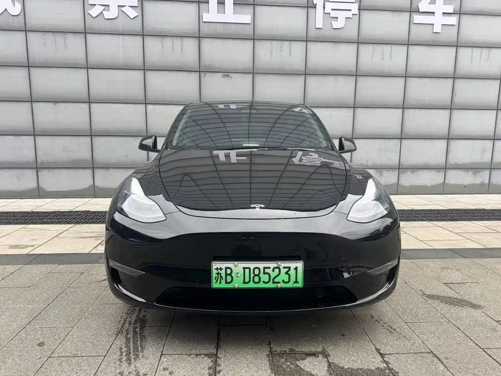 Tesla Model Y — миниатюра 2