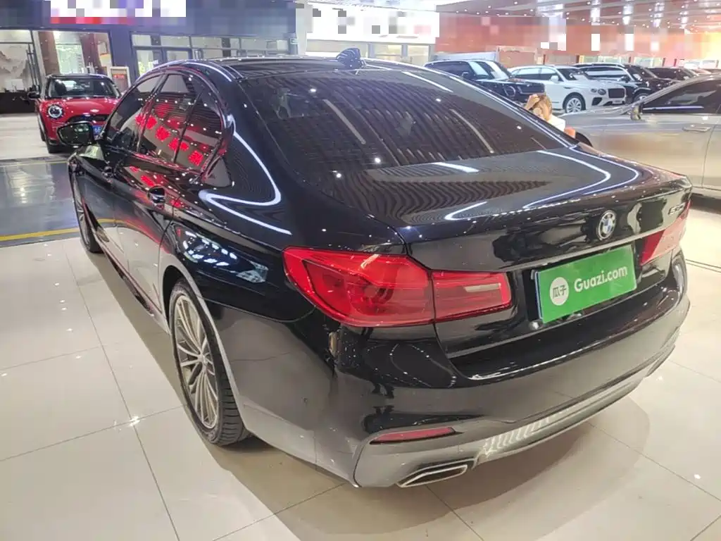 BMW 5 Series (Import) — миниатюра 5