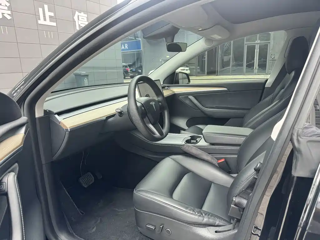 Tesla Model Y — миниатюра 5