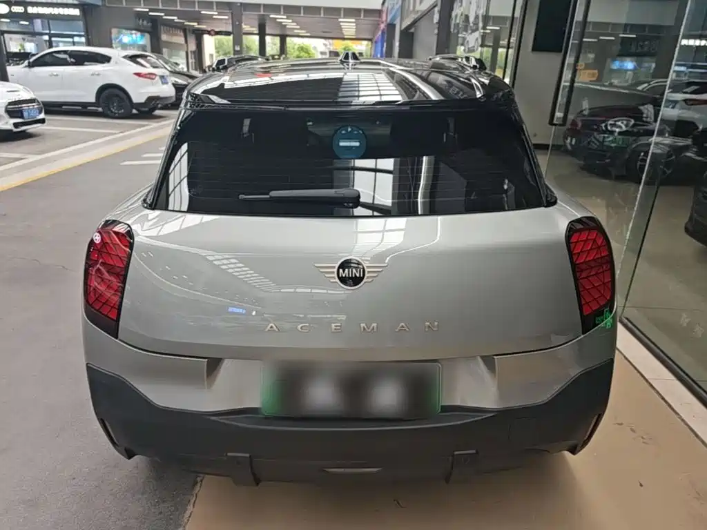 MINI MINI ACEMAN EV — миниатюра 6