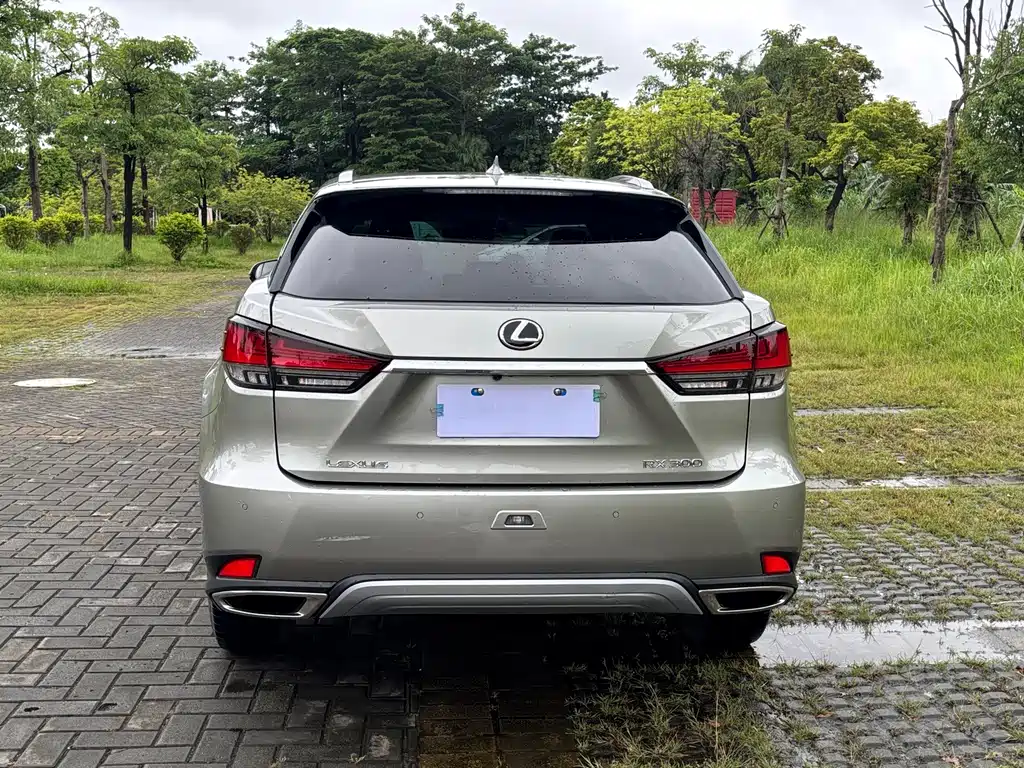 Lexus RX — миниатюра 5