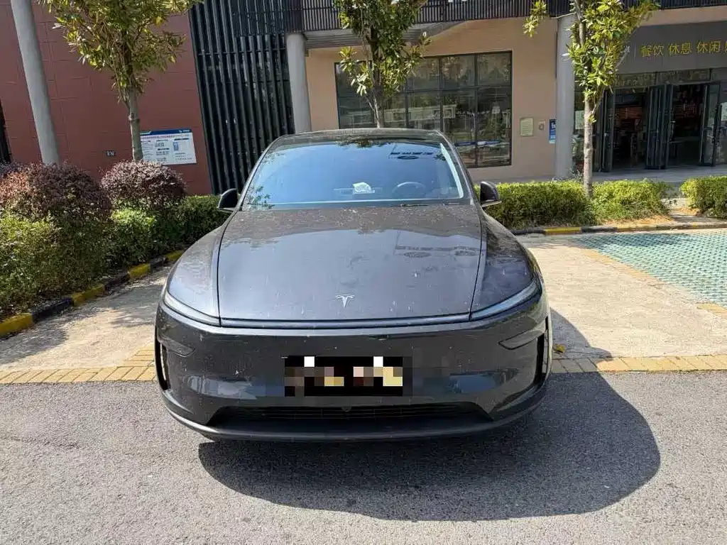 Tesla Model Y — миниатюра 2