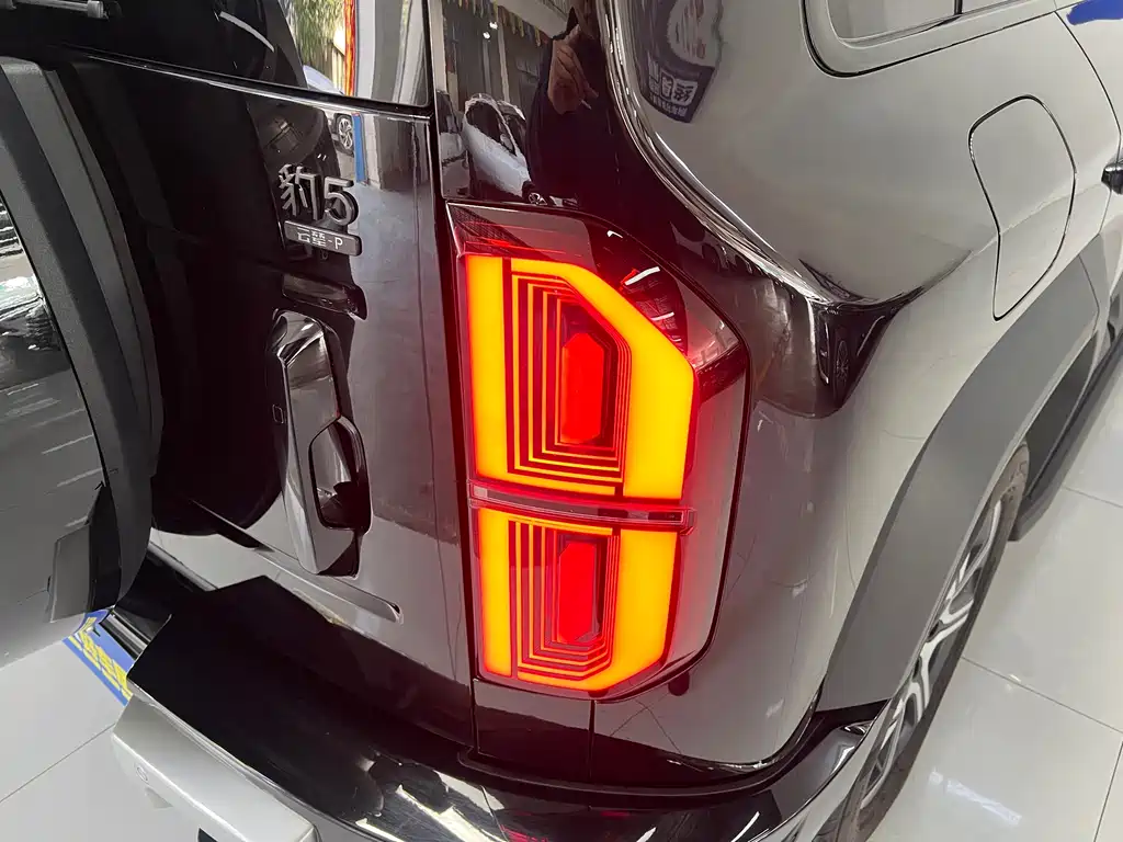 FANG CHENG BAO LEOPARD 5