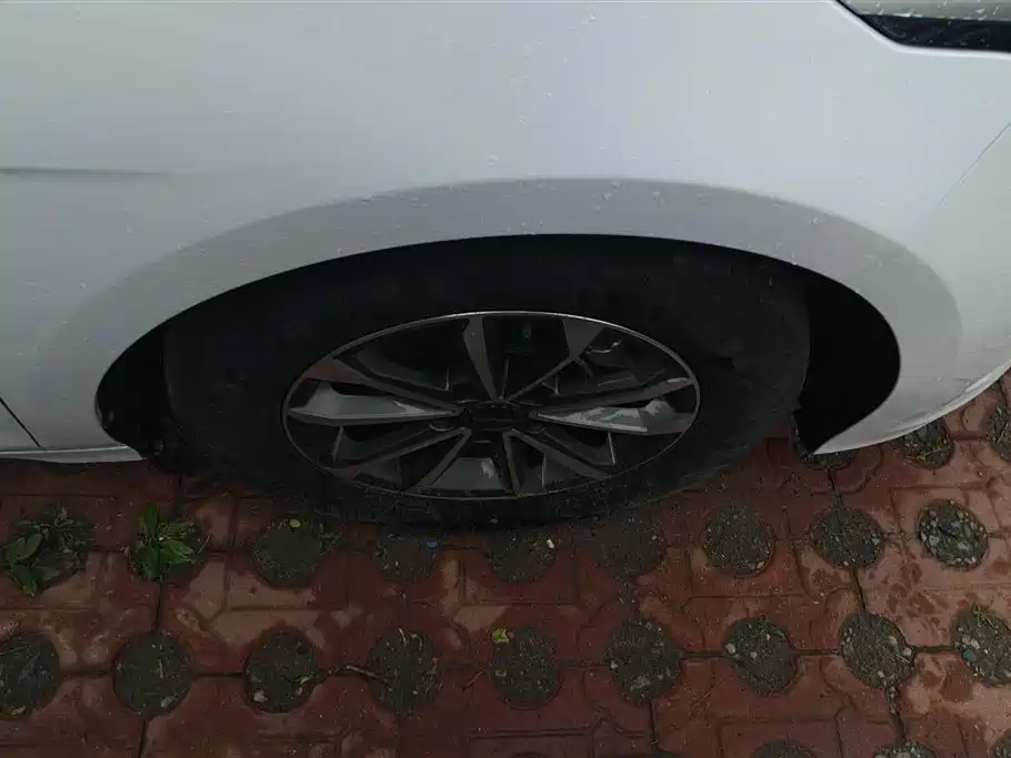 BYD Destroyer 05 2023 Champion DM-i 55KM Luxury