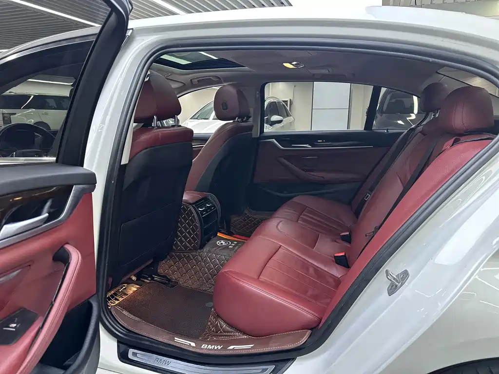 BMW 5 Series 5 2018 528Li