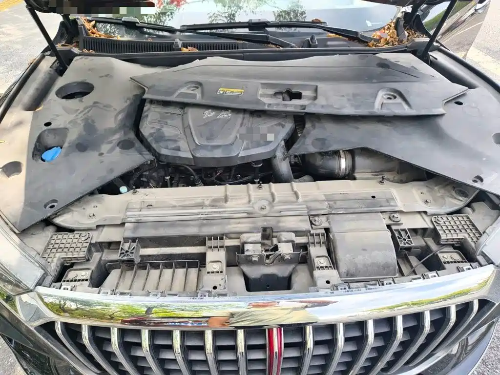 Hongqi Hongqi HS5 — миниатюра 21