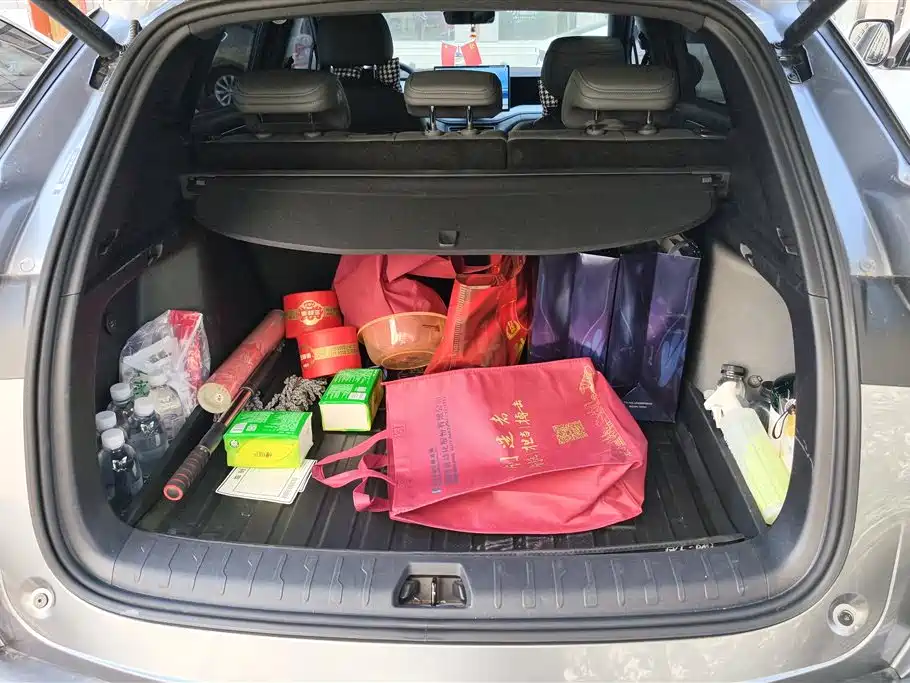 BYD Song L DM-i L DM-i 2025 Smart Drive 112km