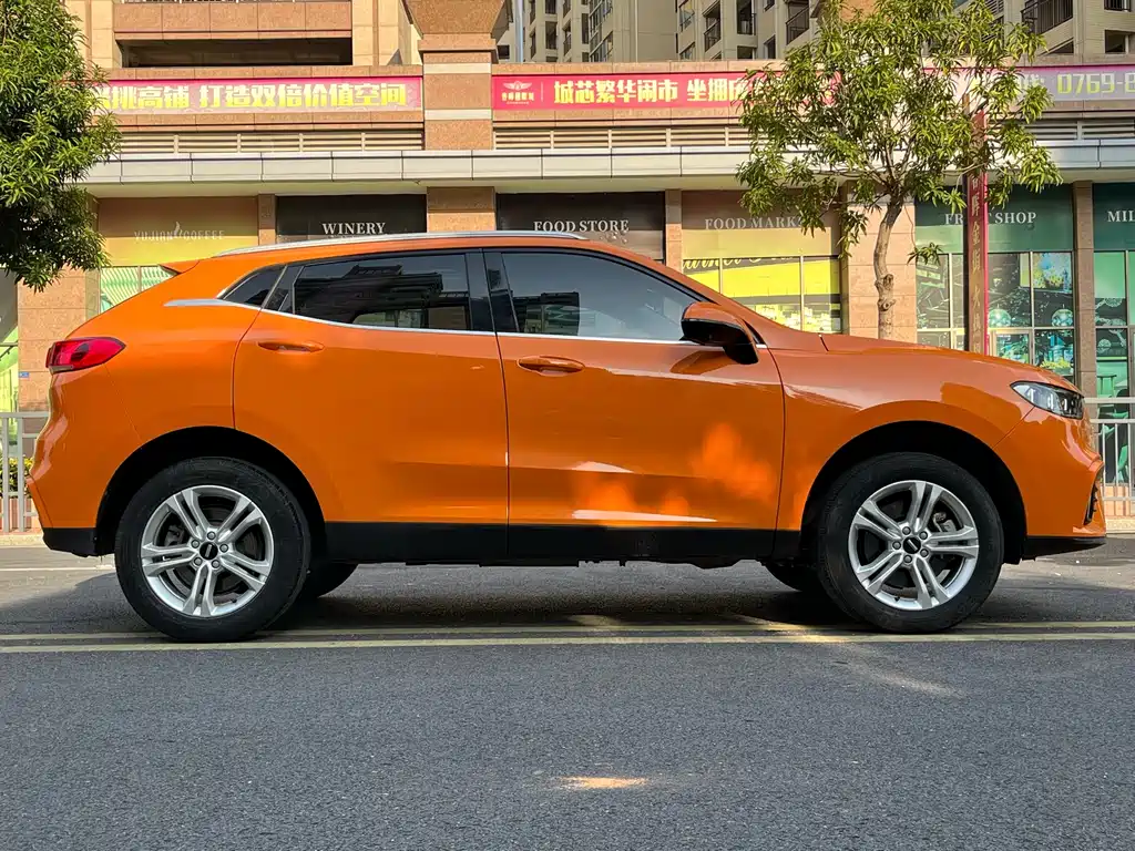 WEI PAI WEI BRAND VV5