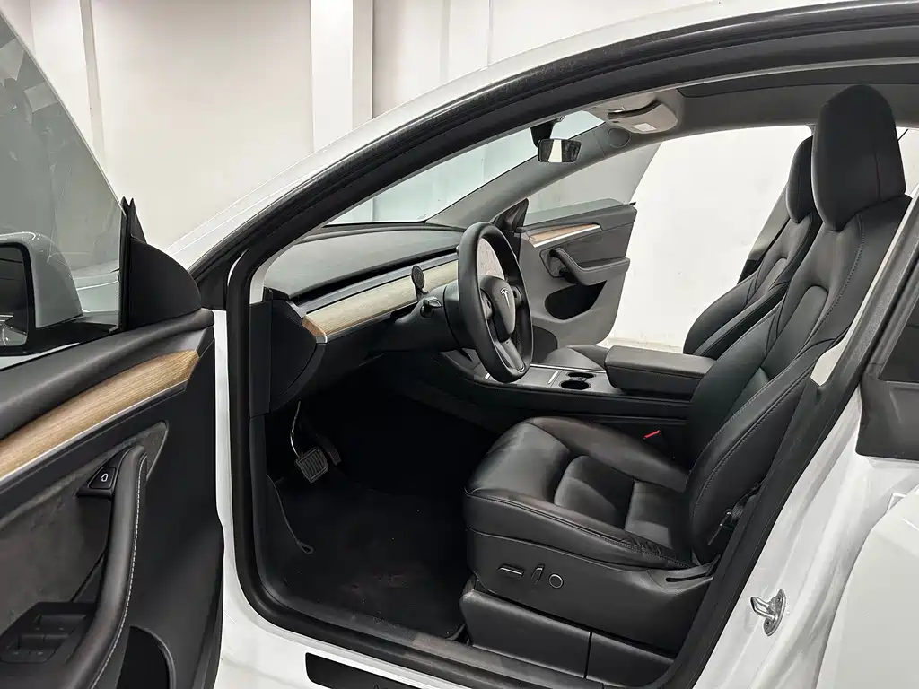 Tesla Model Y — миниатюра 4