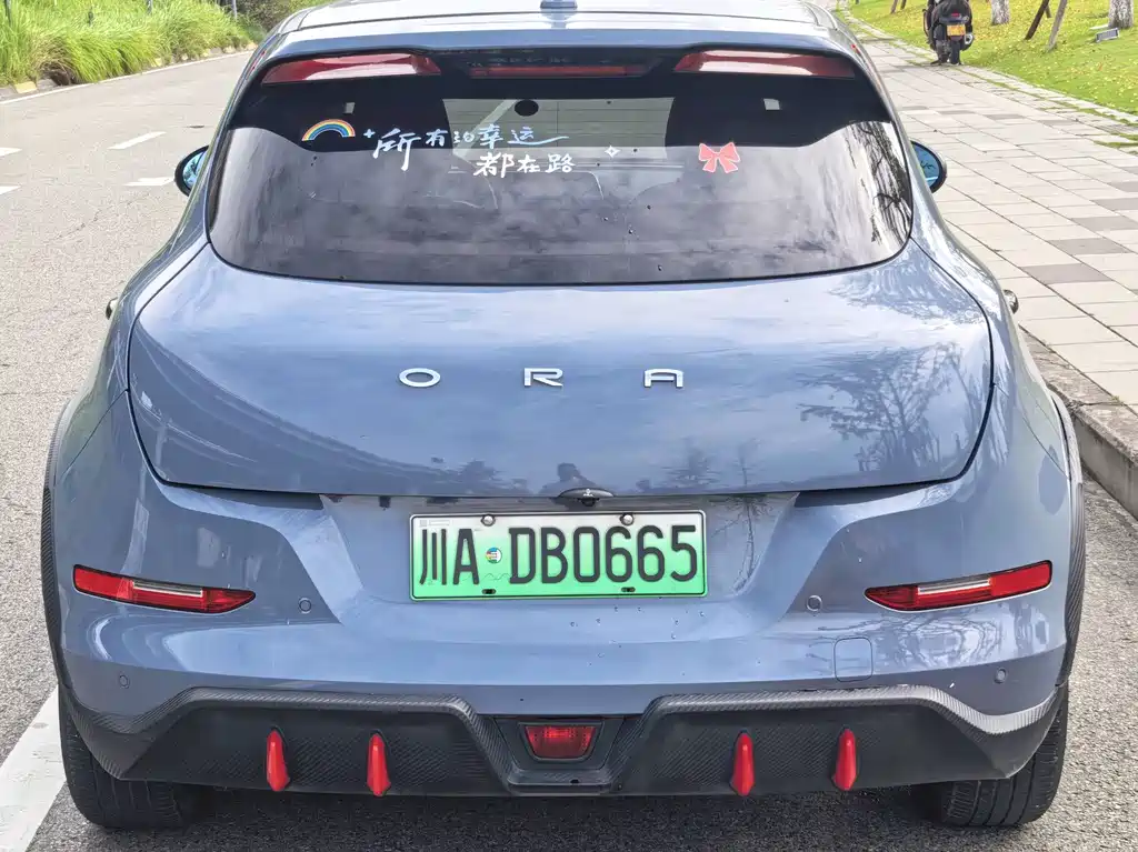 Ora Ora Good Cat GT — миниатюра 5