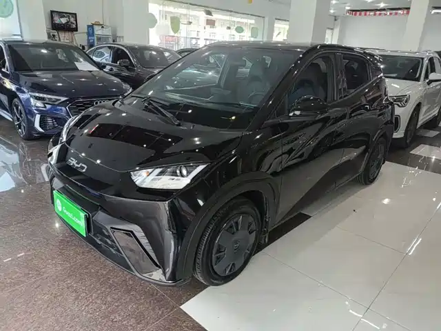 2025 BYD Seagull