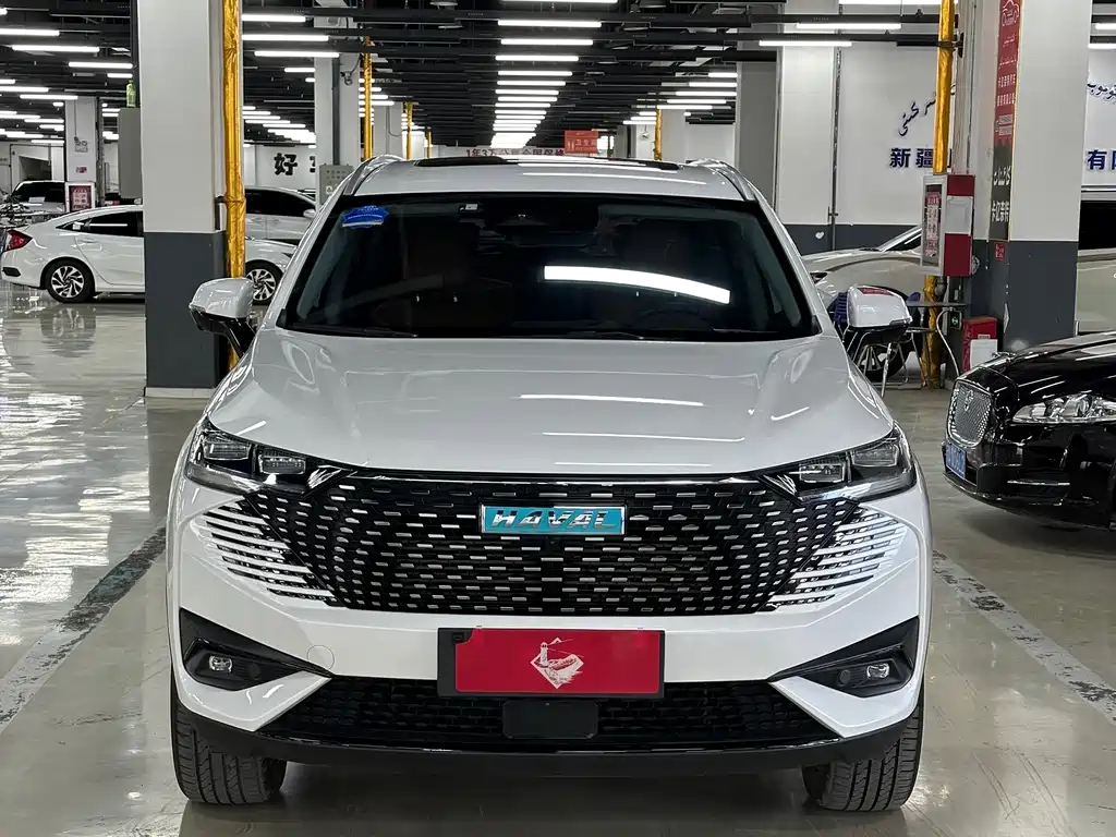 Haval H6 New Energy — миниатюра 2