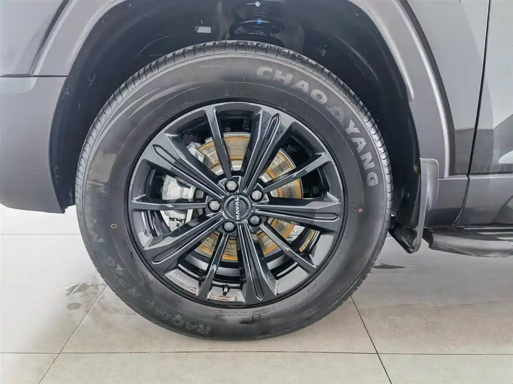 HAVAL RAPTORS NEW ENERGY