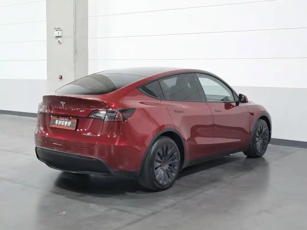Tesla Model Y — миниатюра 2