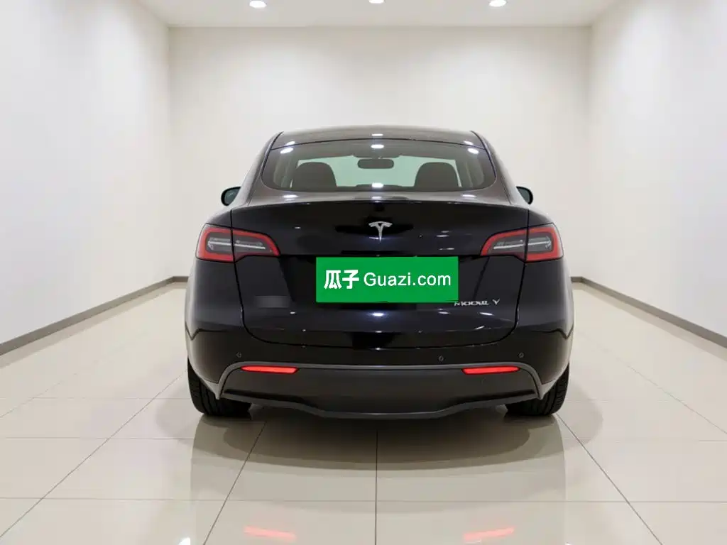 Tesla Model Y — миниатюра 5