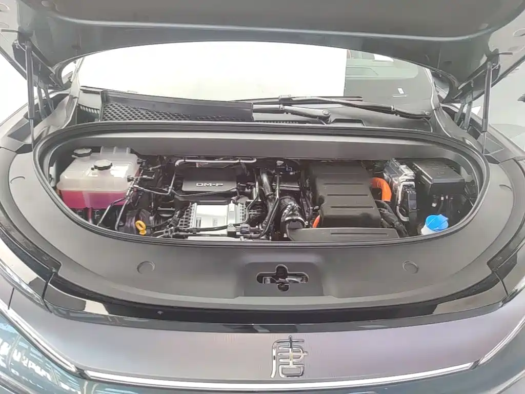 BYD Дон Л. — миниатюра 20