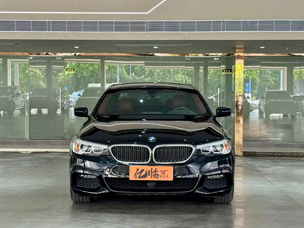 BMW 5 Series — миниатюра 2