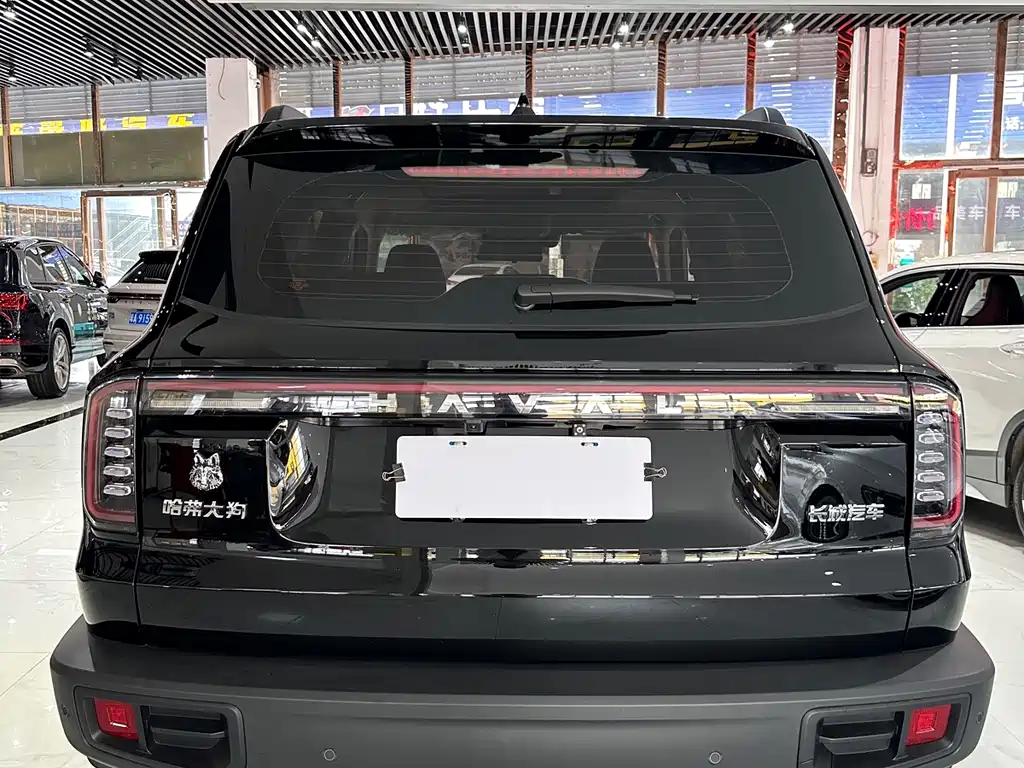 HAVAL BIG DOG