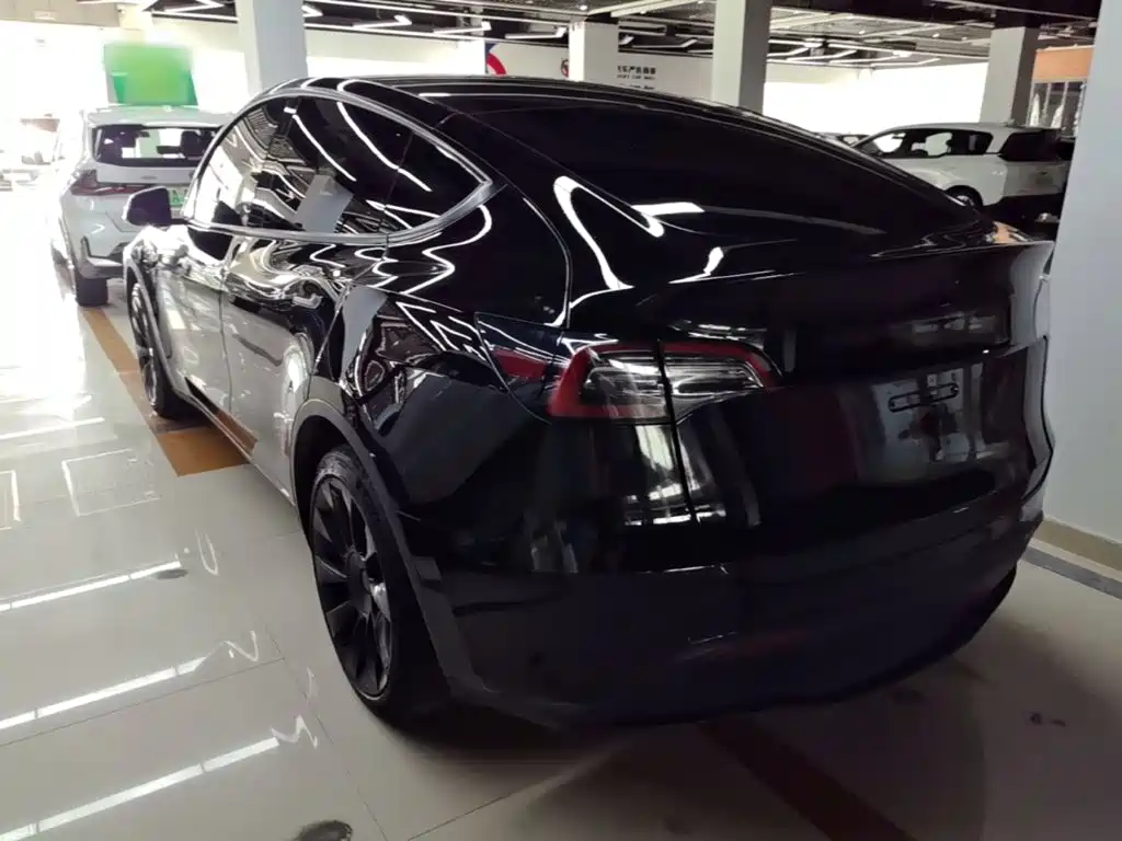 Tesla Model Y — миниатюра 5