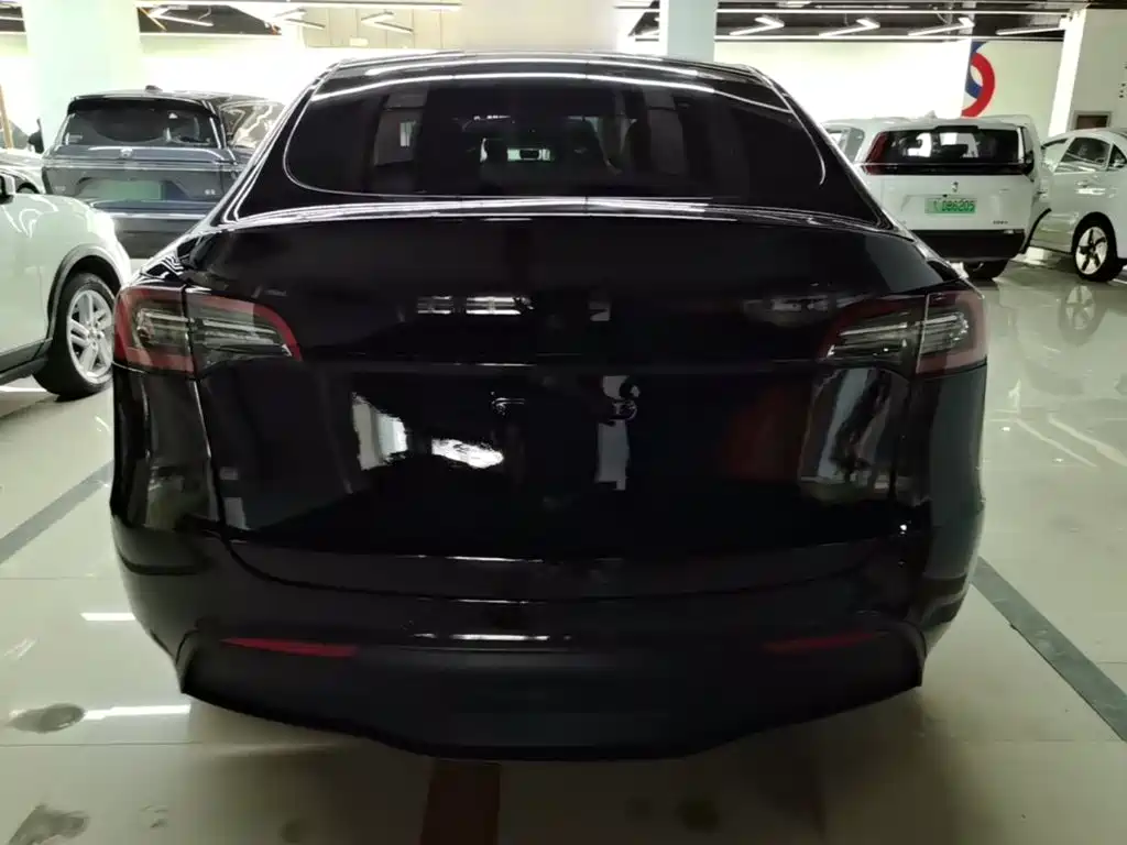 Tesla Model Y — миниатюра 6