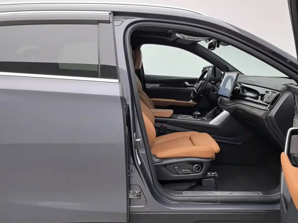 BYD Tang New Energy — миниатюра 23
