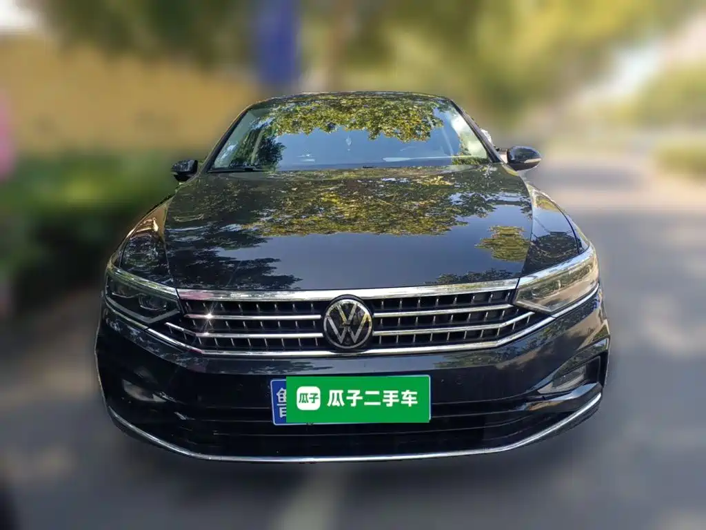 Volkswagen Magotan — миниатюра 2