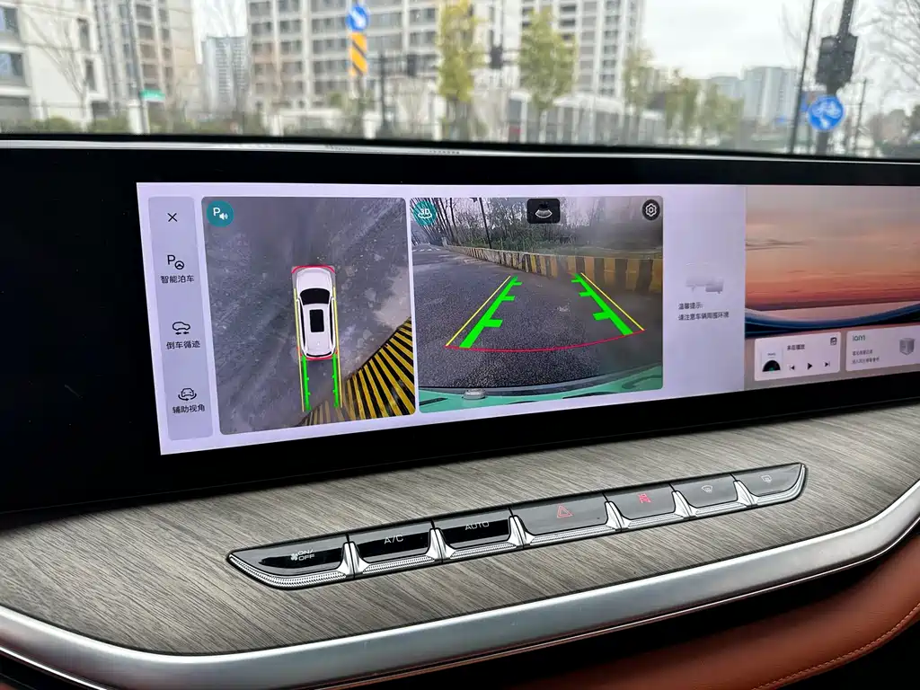 WEI PAI WEI BRAND BLUE MOUNTAIN