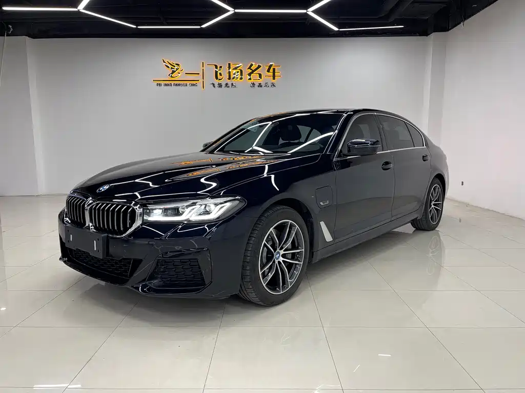 BMW 5 SERIES NEW ENERGY