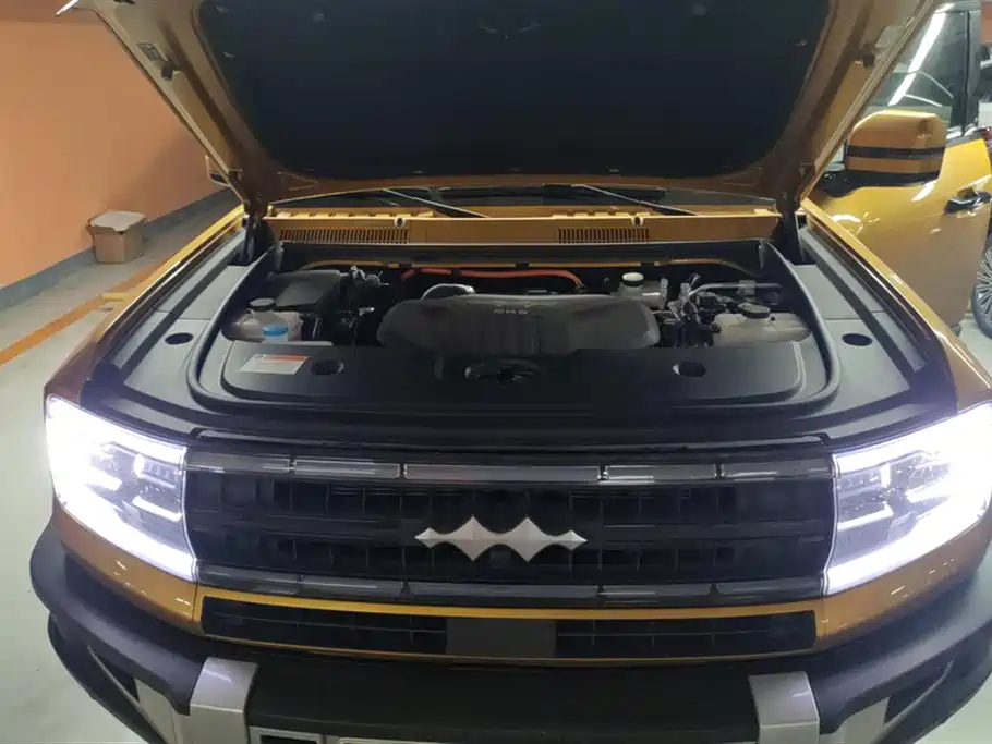 FANG CHENG BAO LEOPARD 5