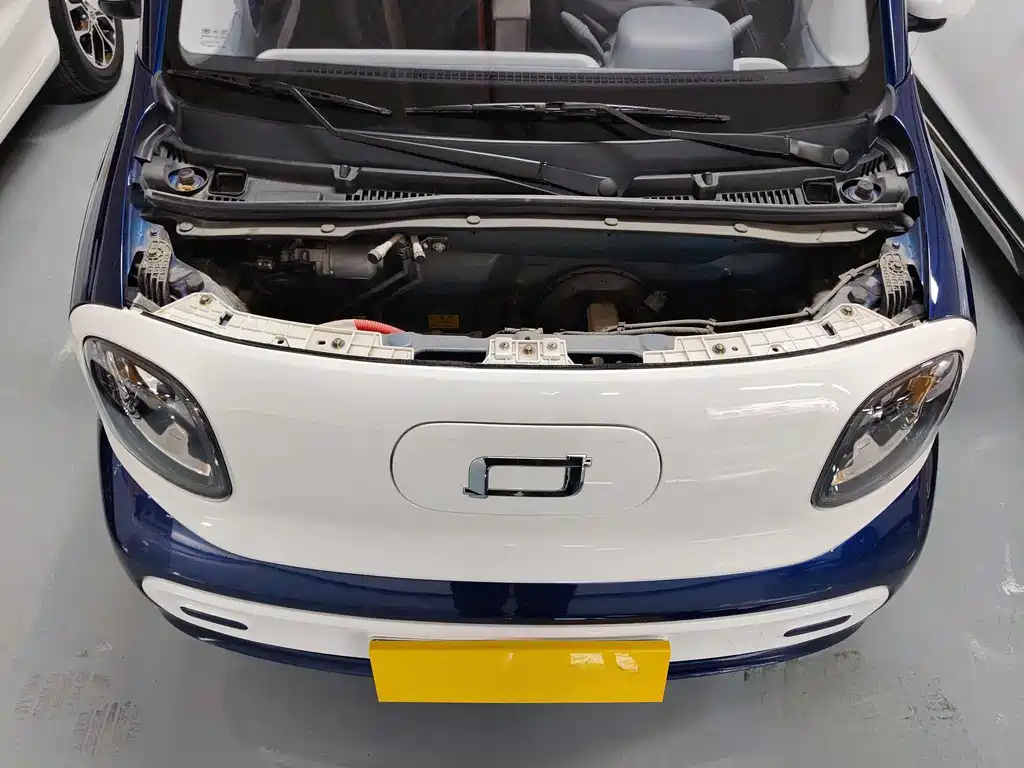 BESTUNE PENTIUM PONY